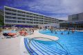 BolHElaphusa pool.jpg